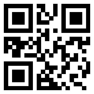 3209351613 QrCode associato