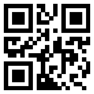 QrCode di 3209372727