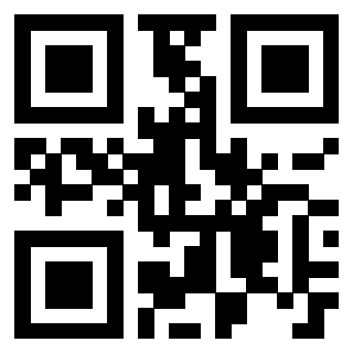 3209562106 - Immagine del QrCode