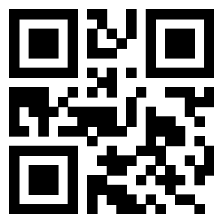 3209658304 QrCode associato