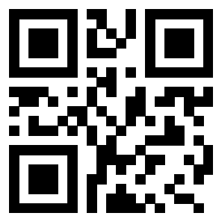QrCode di 3209748731