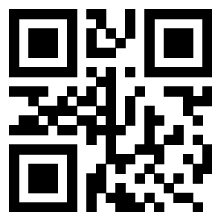 QrCode di 3209956304