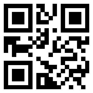 3300141006 - Immagine del QrCode associato
