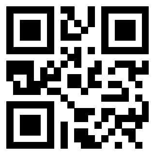 3300141133 QrCode associato