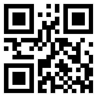 3300141253 Qr Code associato
