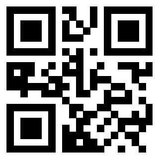 3300141344 - Immagine del QrCode