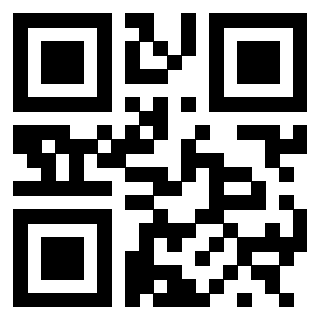 3300141384 QrCode associato