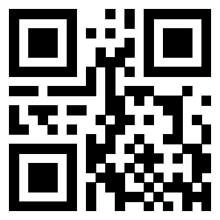 3300145691 - Immagine del QrCode associato