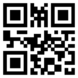 3300161238 Qr Code associato