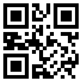 3300161310 - Immagine del QrCode