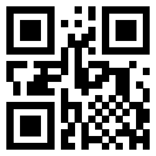 3300203810 QrCode associato