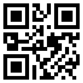 3300203858 QrCode associato