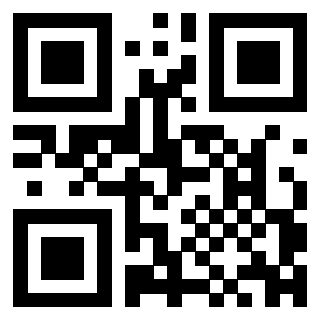 3300204010 QrCode associato
