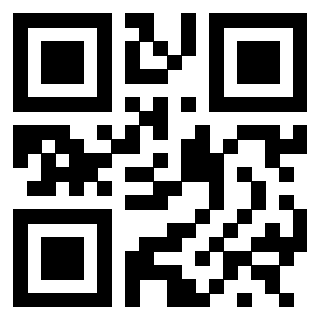 3300204100 - Immagine del Qr Code associato