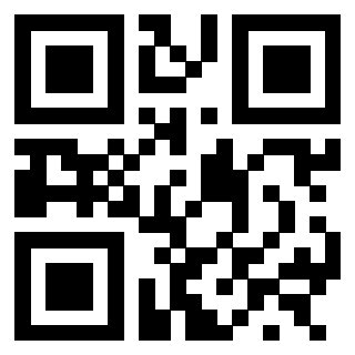 3300204101 - Immagine del Qr Code