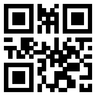 3300204153 - Immagine del QrCode