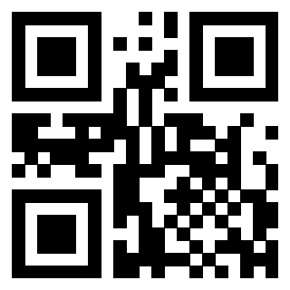 3300204222 - Immagine del QrCode