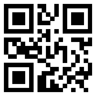 3300204383 QrCode associato