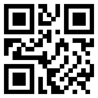 3300204520 - Immagine del QrCode