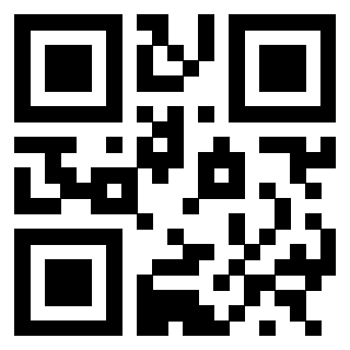 3300204536 - Immagine del QrCode