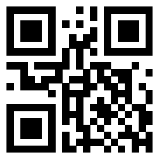 3300204613 - Immagine del QrCode