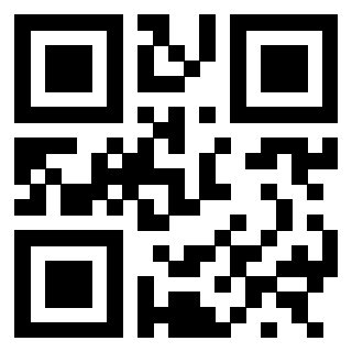3300204621 - Immagine del QrCode