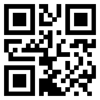 3300204666 QrCode associato