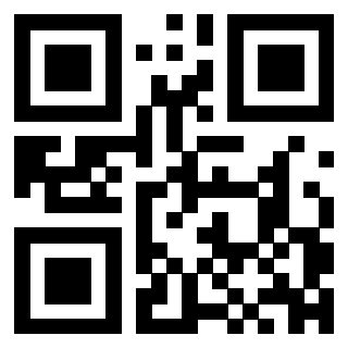 3300213497 Qr Code associato