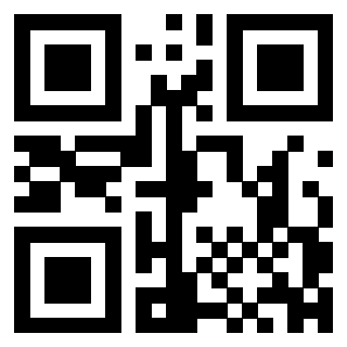 3300213528 QrCode associato