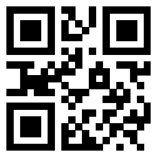 3300213533 - Immagine del QrCode