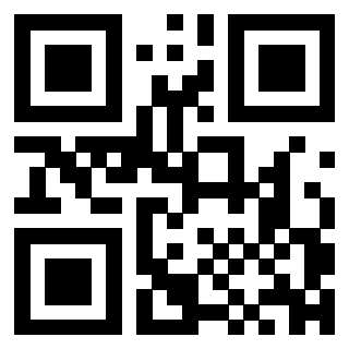 3300213538 Qr Code associato