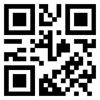3300213595 - Immagine del QrCode