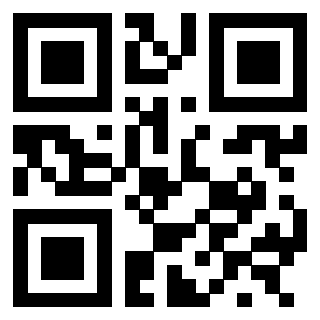 3300213631 - Immagine del QrCode associato