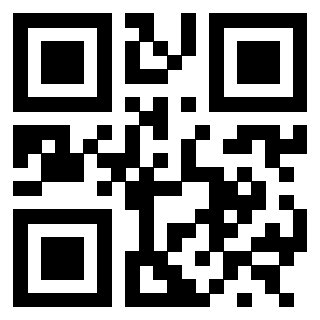 3300213675 QrCode associato