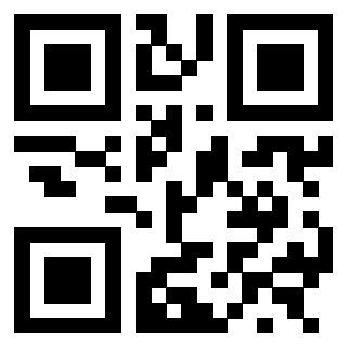 3300213733 Qr Code associato