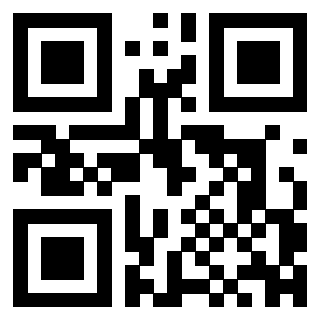 3300213770 - Immagine del QrCode