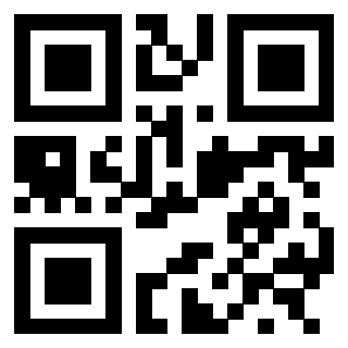 3300213806 QrCode associato