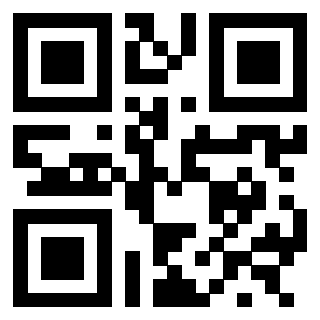 3300213896 - Immagine del QrCode