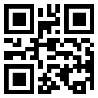 Il Qr Code di 3300213935