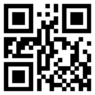 3300214295 - Immagine del QrCode