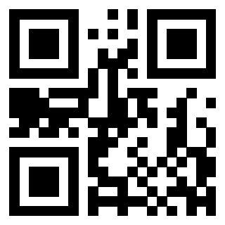 3300214384 - Immagine del QrCode