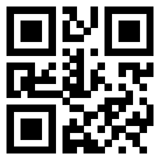 3300217995 QrCode associato