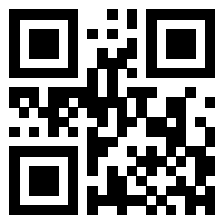 3300217999 - Immagine del QrCode associato