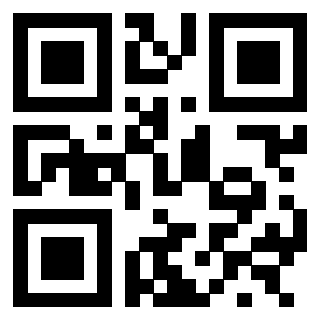 3300218453 - Immagine del QrCode