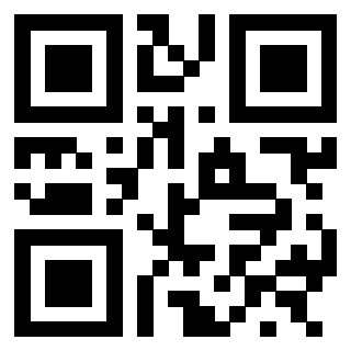 3300218533 QrCode associato