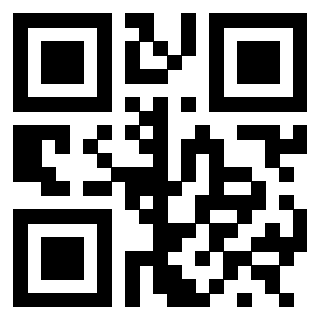 3300218569 - Immagine del QrCode associato