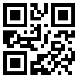 3300218691 - Immagine del QrCode