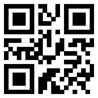 3300218733 - Immagine del QrCode associato
