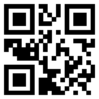 3300228377 - Immagine del QrCode