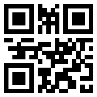 3300228691 - Immagine del QrCode associato